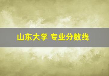 山东大学 专业分数线